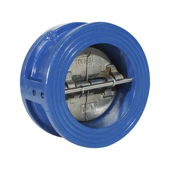 Pn10/Pn16/Pn25/Pn40 ANSI 150lb Cast Iron Non-Return Dual Plate Check Valve/Butterfly/Gate/Stop Valve